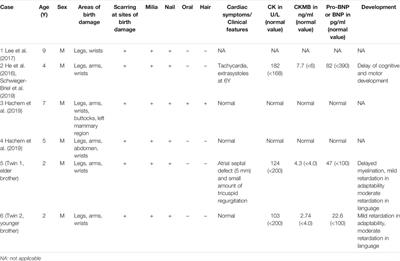 Case Report: De novo KLHL24 Gene Pathogenic Variants in Chinese Twin Boys With Epidermolysis Bullosa Simplex